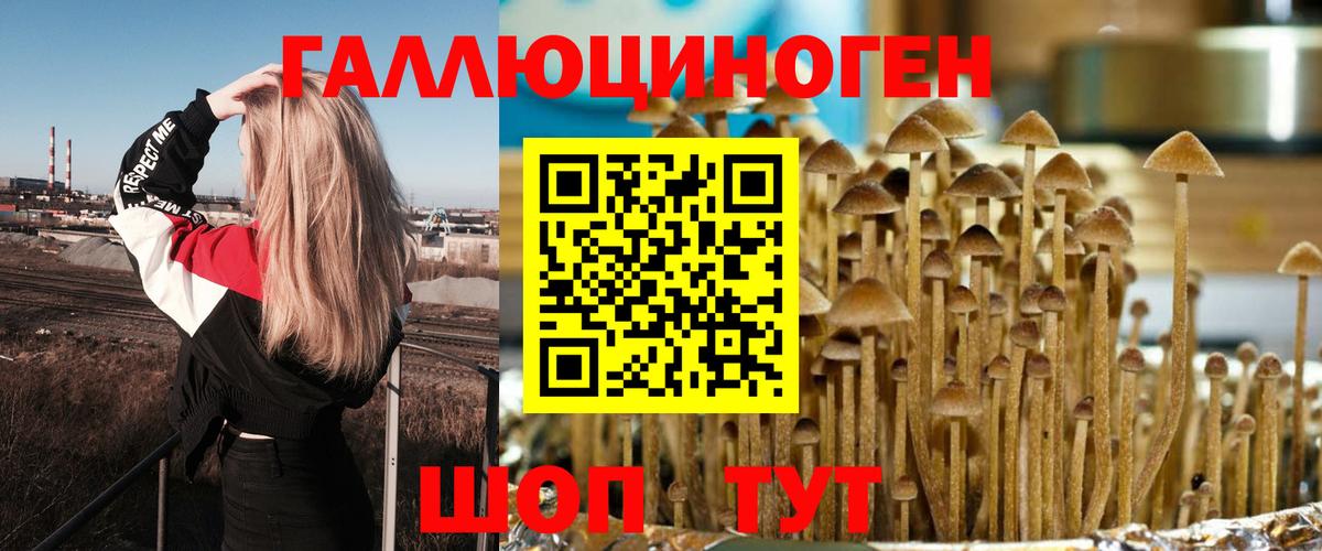 Старый Оскол  Псилоцибиновые грибы Cubensis  Вход с VPN 